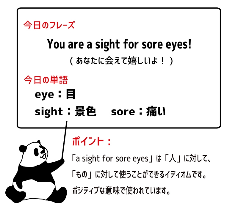 a sight for sore eyesのフレーズ