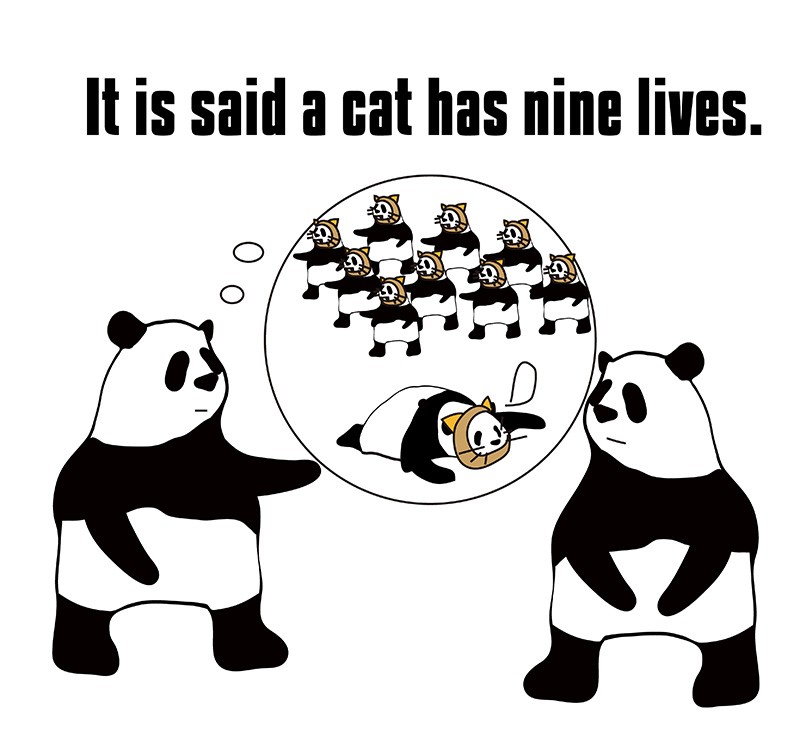 a cat has nine livesのパンダの絵