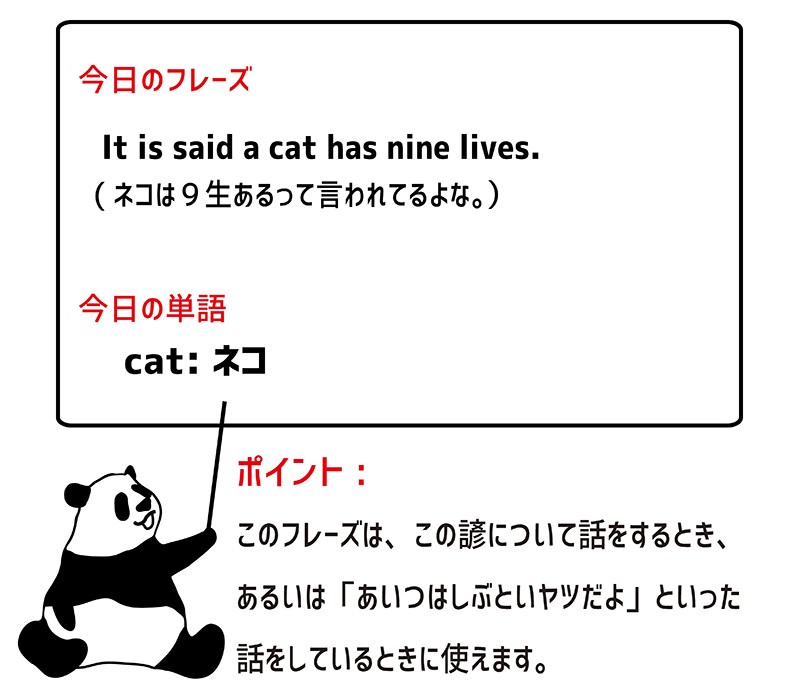 a cat has nine livesのフレーズ