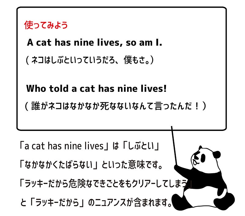 a cat has nine livesの使い方