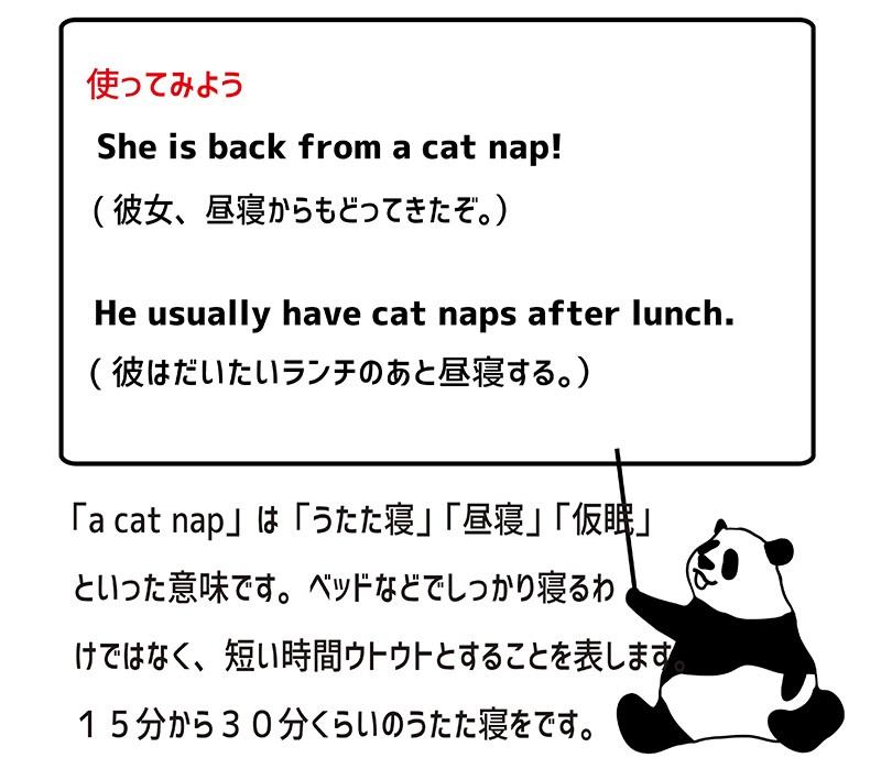 a cat napの使い方