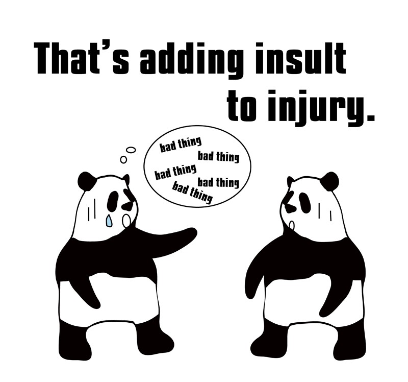 add insult to injuryのパンダの絵