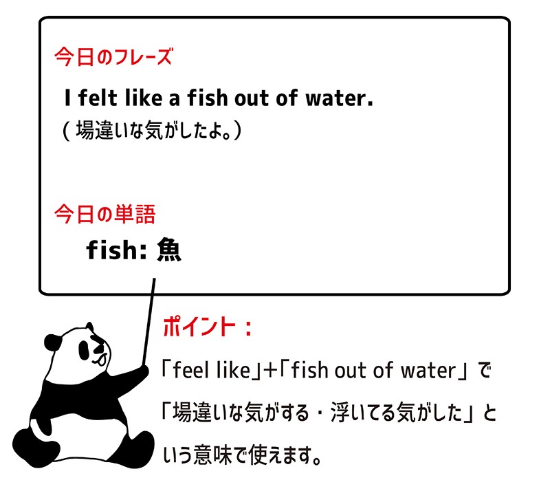 a fish out of waterのフレーズ