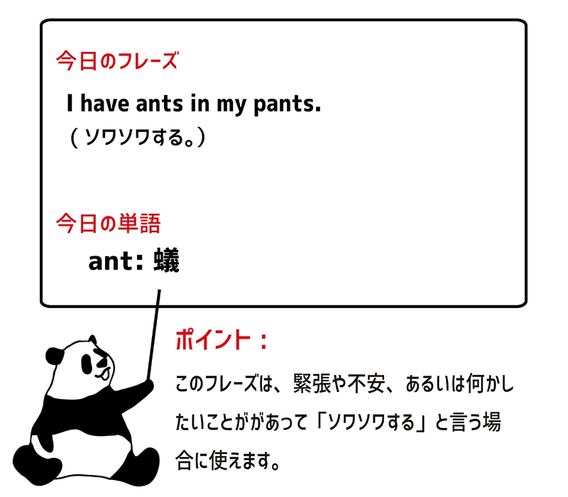 ants in my pantsのフレーズ