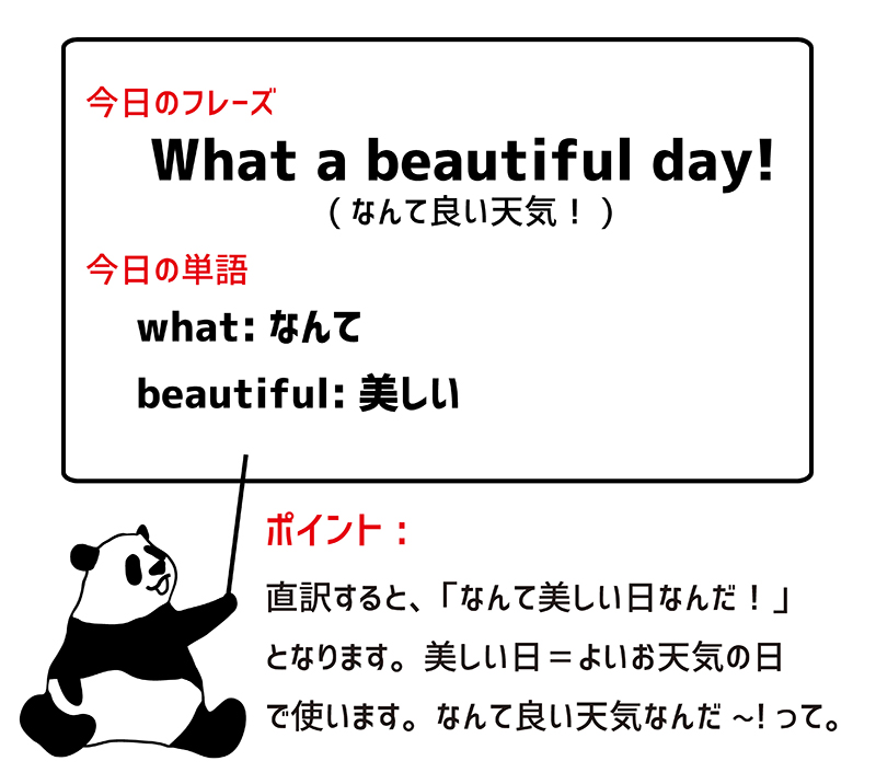 what a beautiful day ポイント