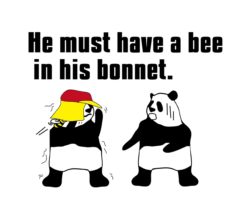 have a bee in one's bonnetのパンダの絵