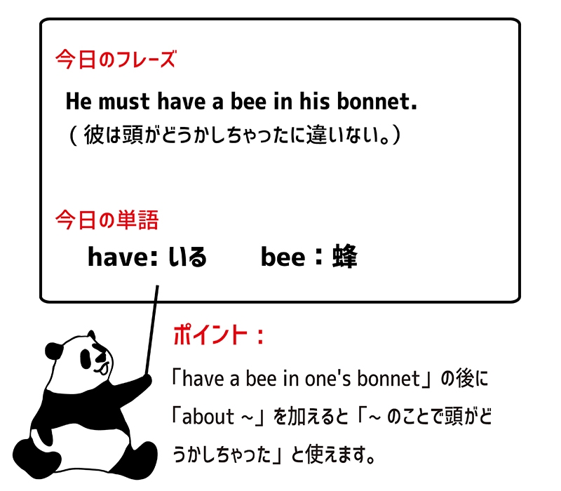 have a bee in one's bonnetのフレーズ