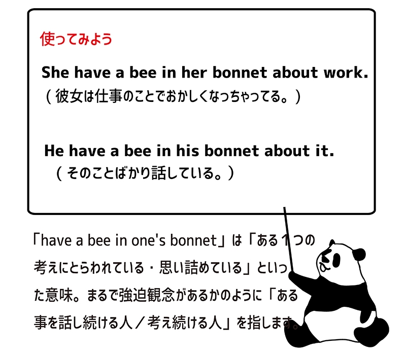 have a bee in one's bonnetの使い方