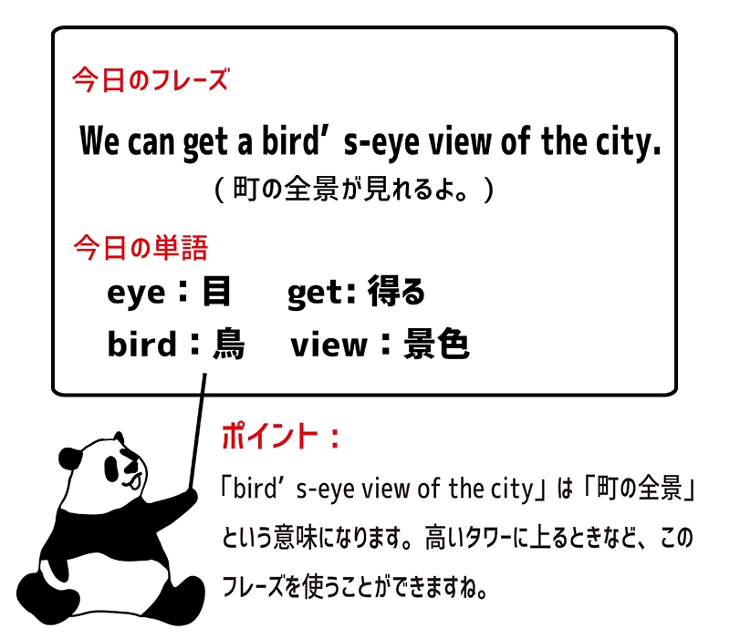 bird's-eye viewのフレーズ