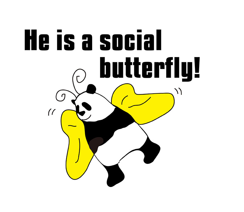 social butterflyのパンダの絵