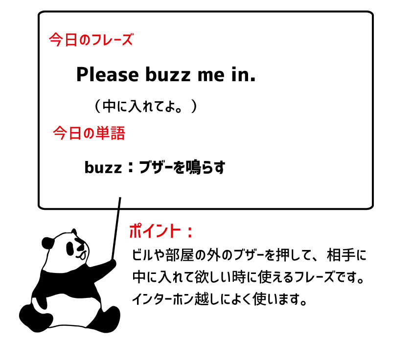 buzz in のフレーズ