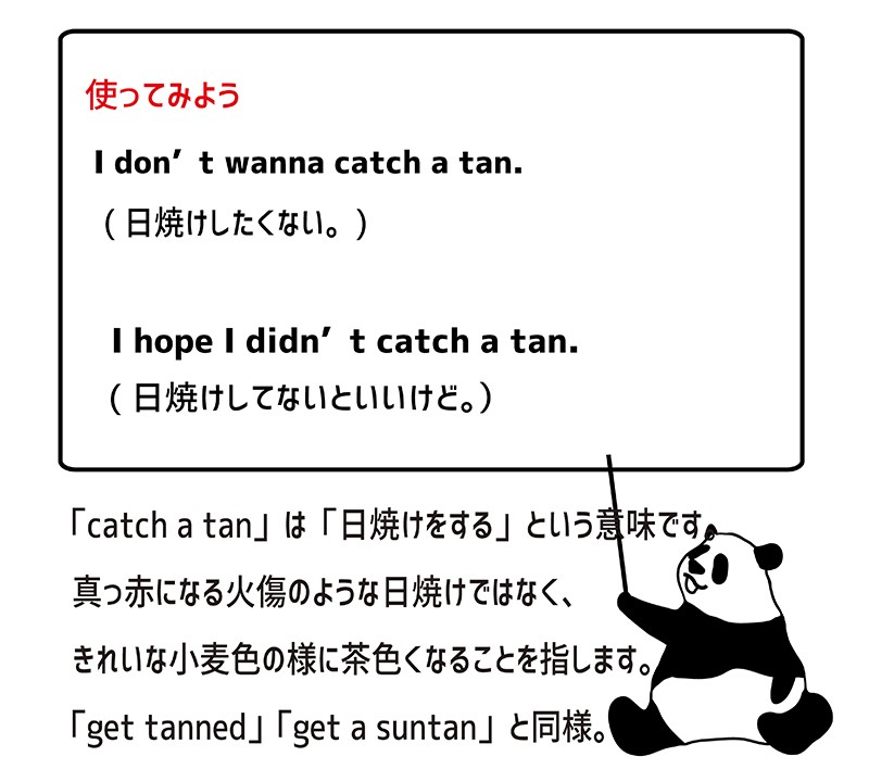 catch a tanの使い方