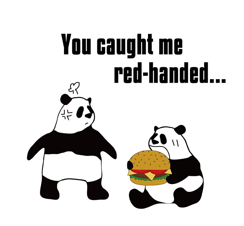 catch someone red-handedのパンダの絵