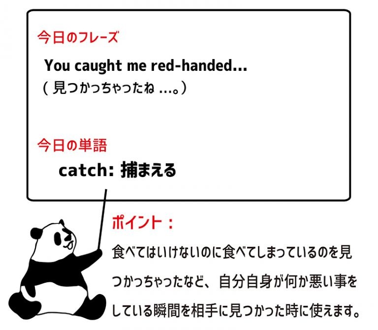 catch someone redhandedの意味と使い方 eigolab(えいご研）