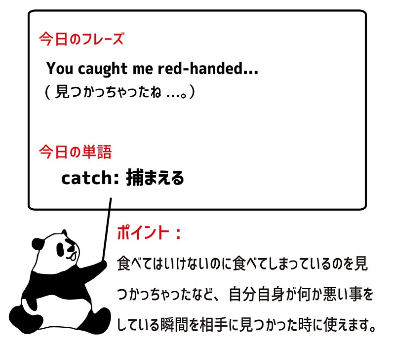 catch someone red-handedのフレーズ