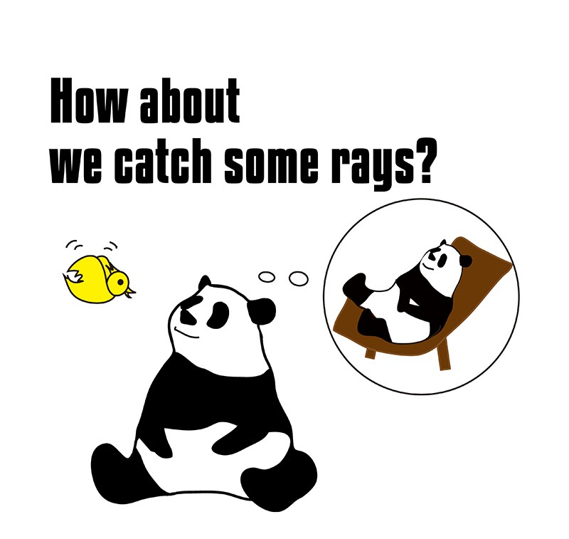 catch some raysのパンダの絵