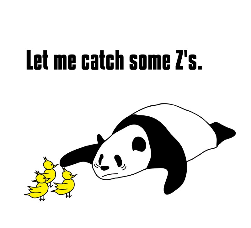catch some Z'sのパンダの絵