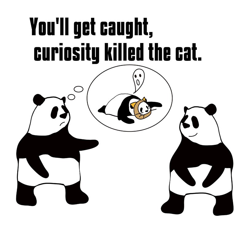 curiosity killed the catのパンダの絵