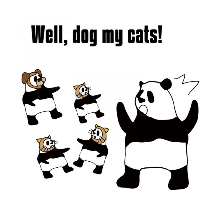 英語のイディオム：dog my catsの意味と使い方 eigolab(えいご研）