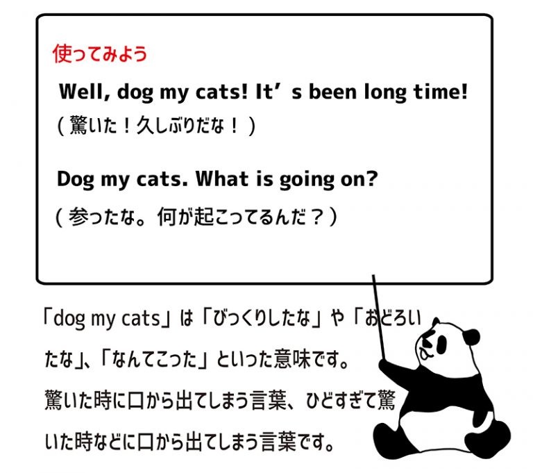 英語のイディオム：dog my catsの意味と使い方 eigolab(えいご研）