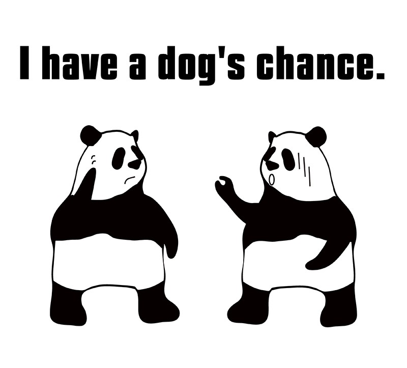 dog's chanceのパンダの絵