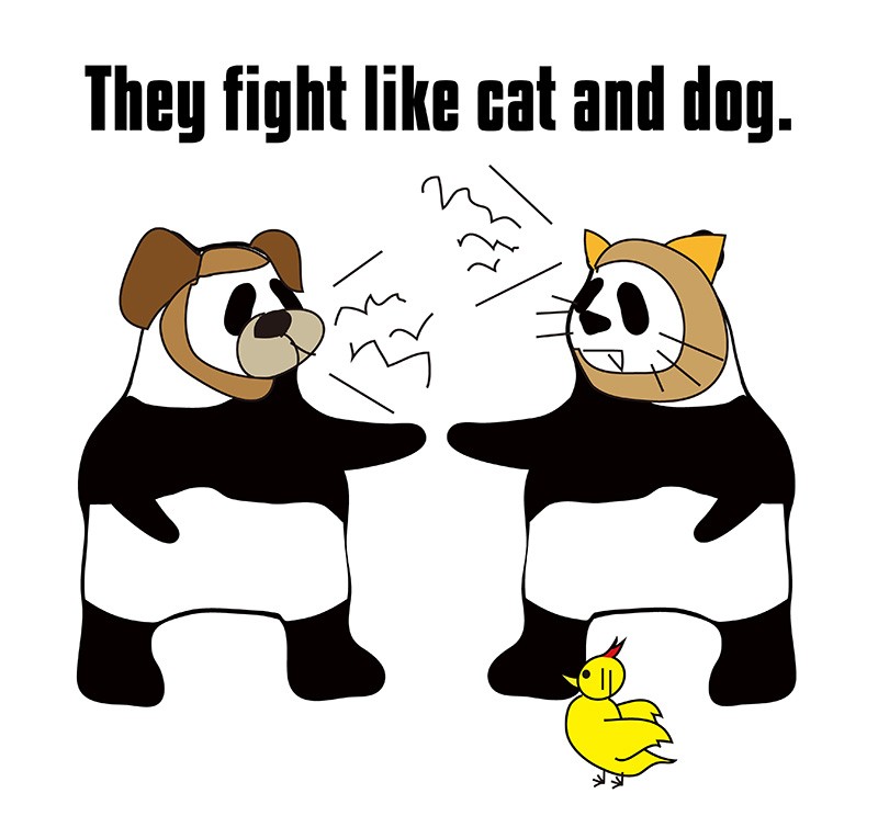 fight like cat and dogのパンダの絵