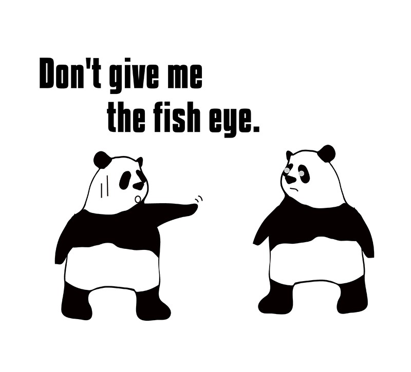 fish eyeのパンダの絵