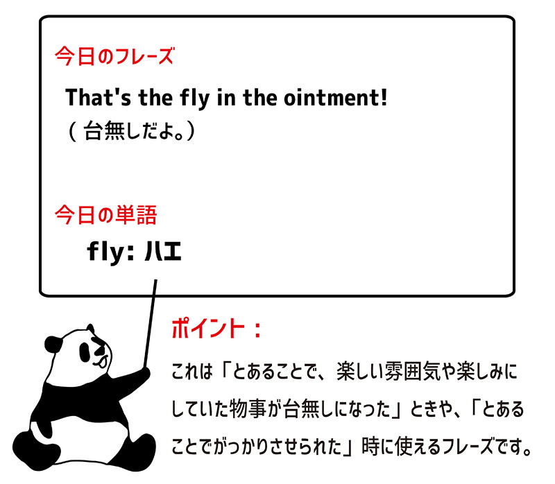 fly in the ointmentのフレーズ