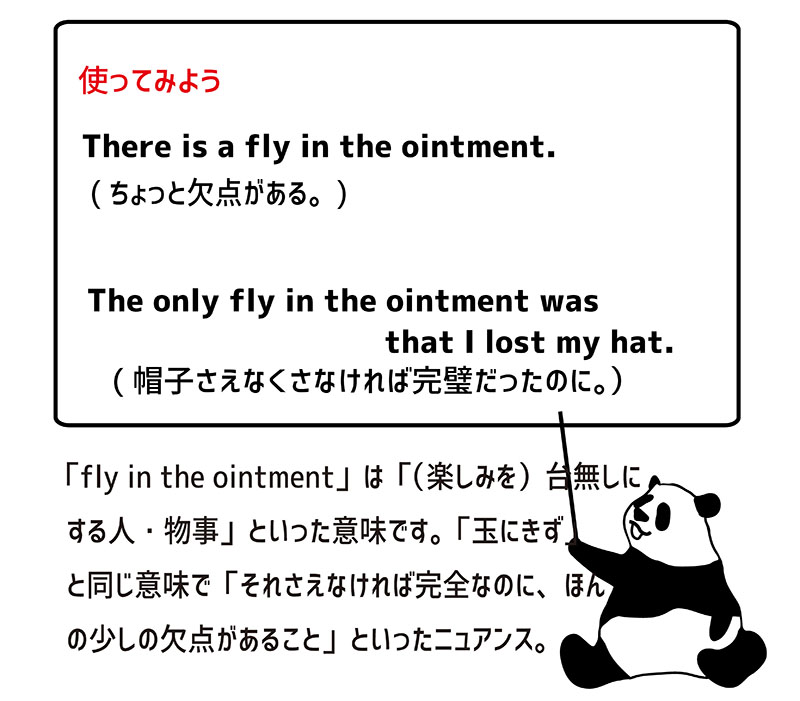 fly in the ointmentの使い方