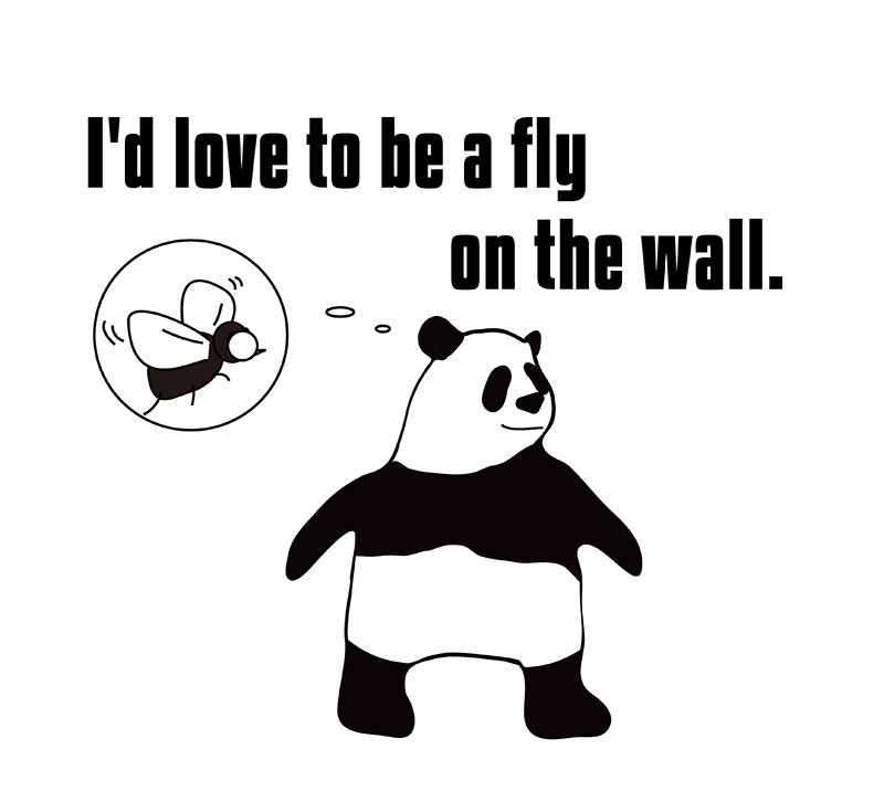 fly on the wallのパンダの絵