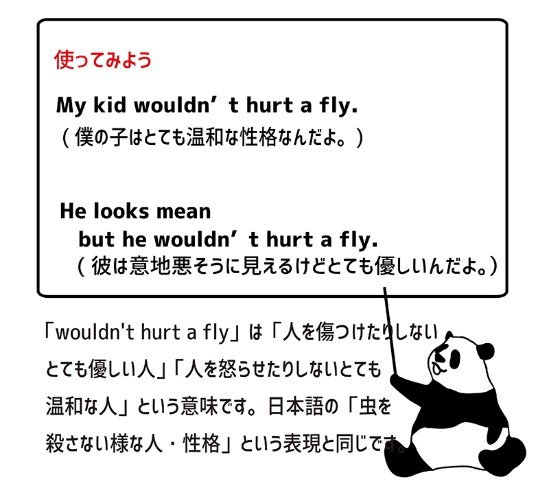 wouldn't hurt a fly の使い方