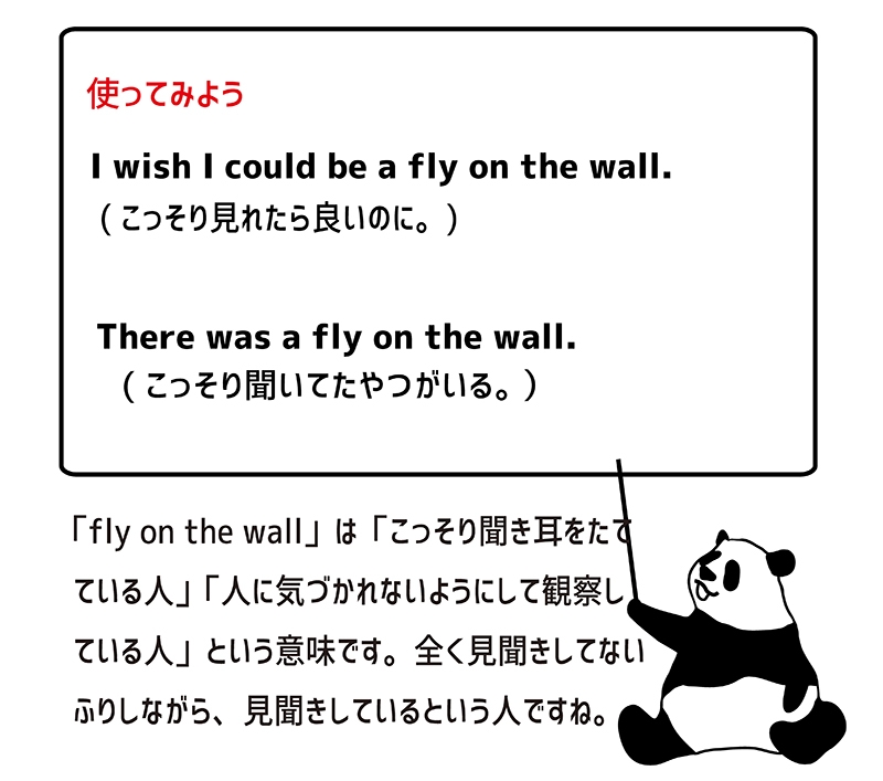 fly on the wallの使い方