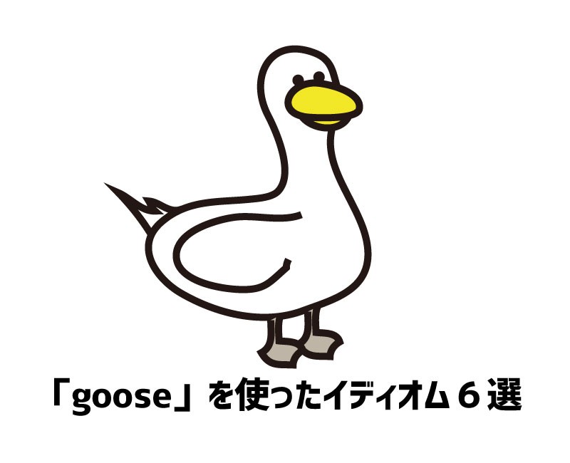 gooseを使ったイディオム６選