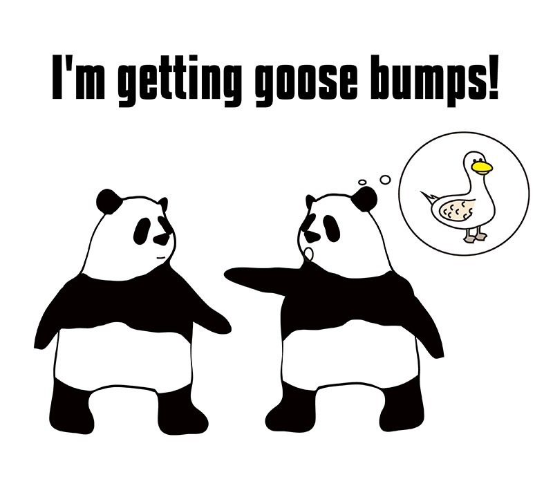 goose bumpsのパンダの絵