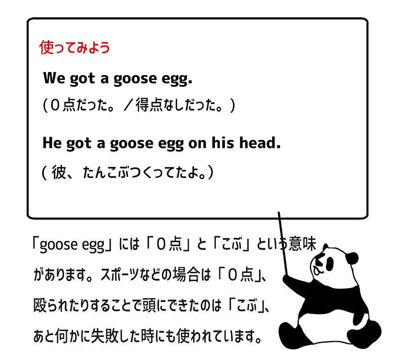 goose eggの使い方