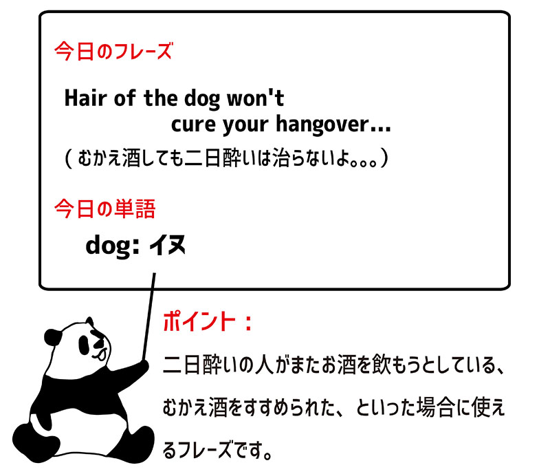 hair of the dogのフレーズ