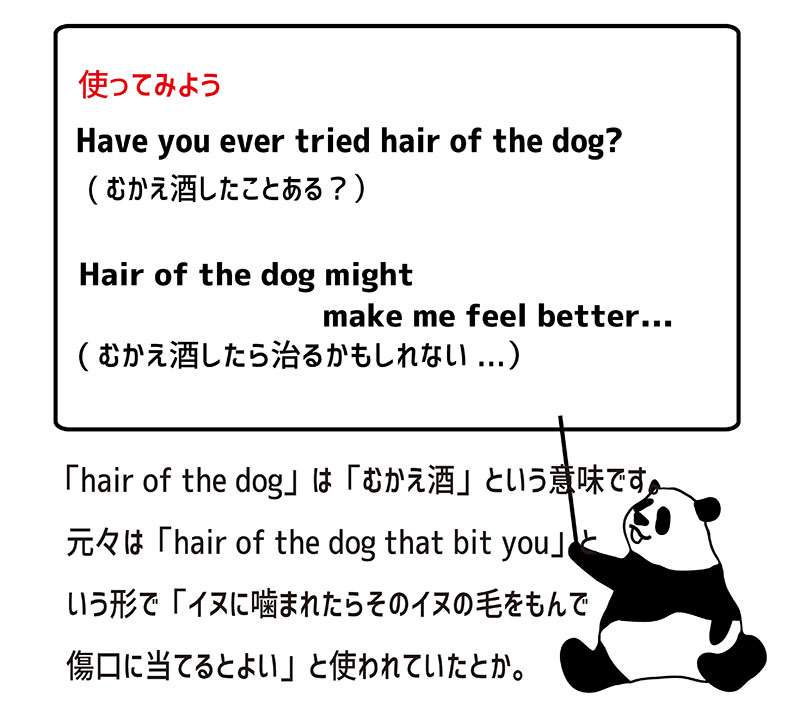 hair of the dogの使い方