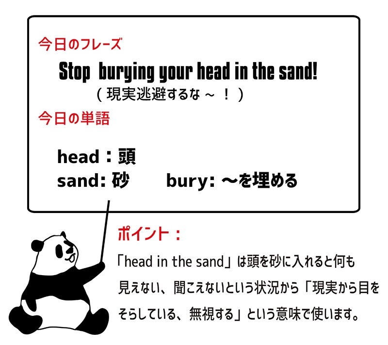 head in the sandのフレーズ