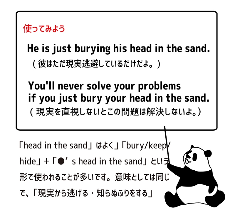 head in the sandの使い方