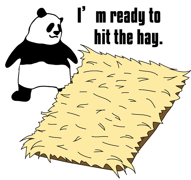 I'm gonna hit the hay.のパンダの絵