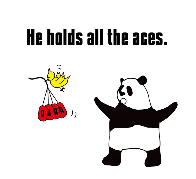 hold all the acesのパンダの絵