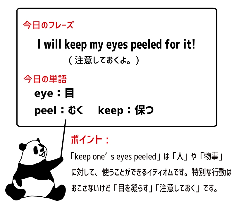 keep one's eyes peeled のフレーズ