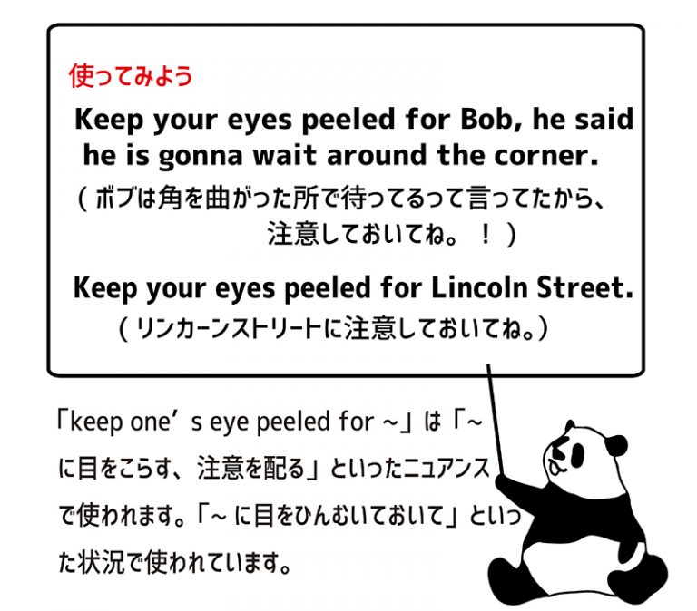 keep one’s eyes peeledの意味と使い方 eigolab(えいご研）