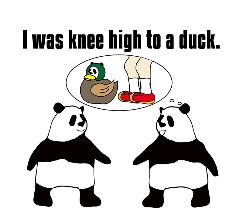 knee high to a duckのパンダの絵