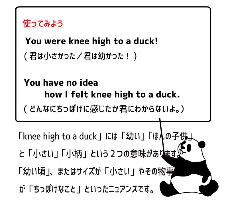 knee high to a duckの使い方