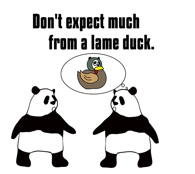 lame duckのパンダの絵