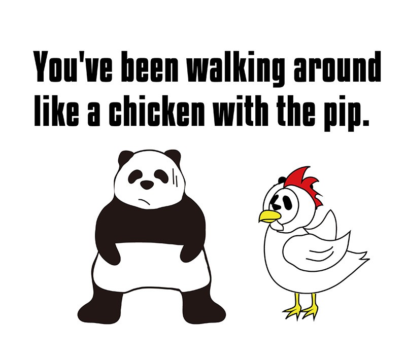 like a chicken with the pipのパンダの絵