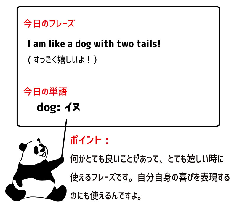 like a dog with two tailsのフレーズ