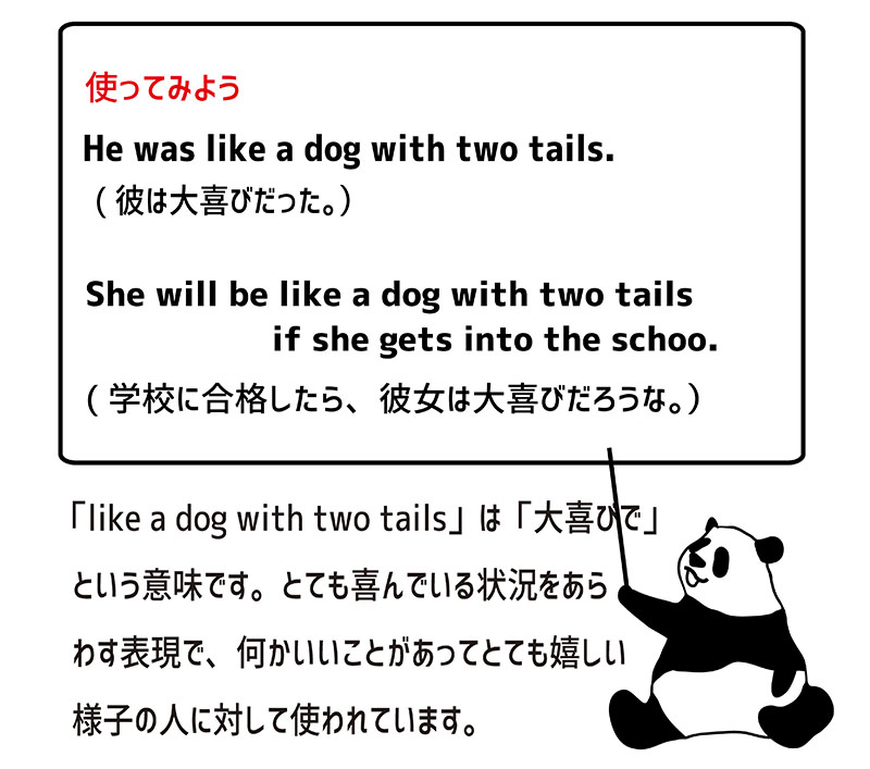 like a dog with two tailsの使い方
