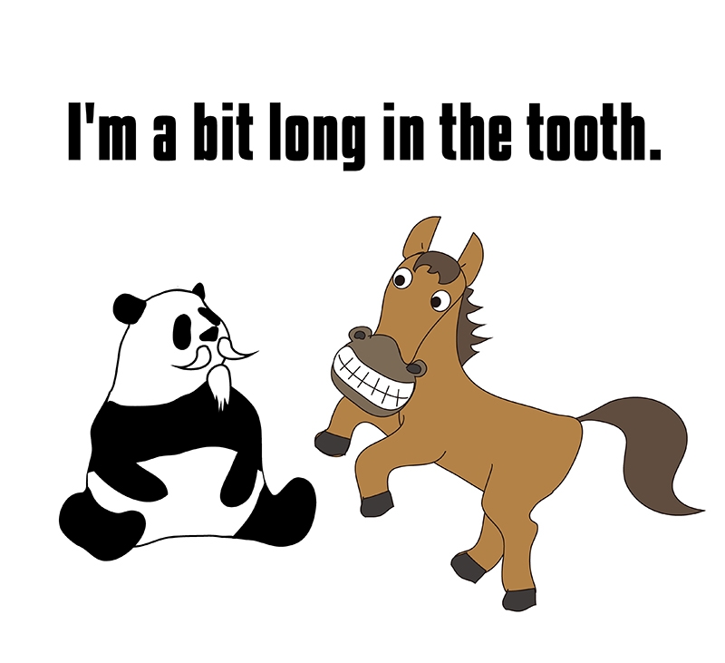 long in the toothのパンダと馬の絵